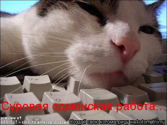 Суровая одминская работа..... Котоматрица: Суровая одминская работа..