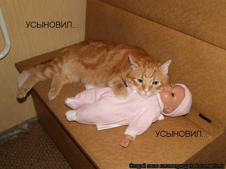 УСЫНОВИЛ... УСЫНОВИЛ...... Котоматрица: УСЫНОВИЛ... УСЫНОВИЛ...