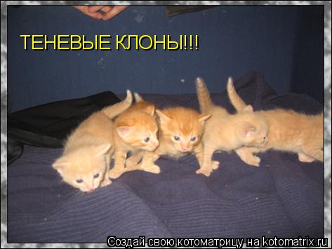 ТЕНЕВЫЕ КЛОНЫ!!!... Котоматрица: ТЕНЕВЫЕ КЛОНЫ!!!
