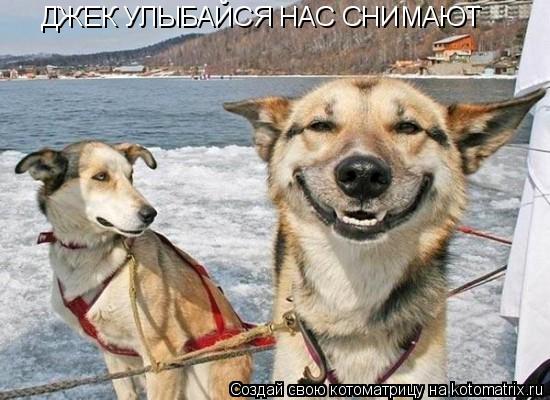 Котоматрица: ДЖЕК УЛЫБАЙСЯ НАС СНИМАЮТ