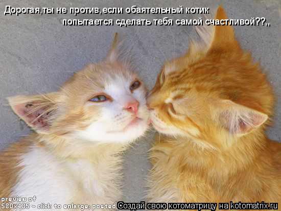 Котоматрица: Дорогая,ты не против,если обаятельный котик попытается сделать тебя самой счастливой??,,