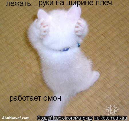Котоматрица: лежать... руки на ширине плеч... работает омон