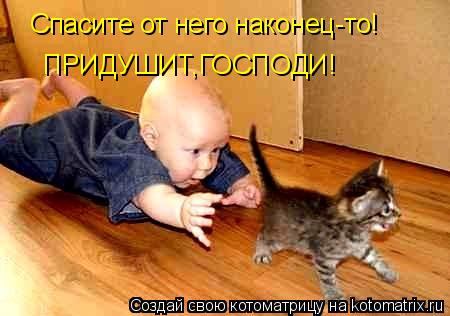 Котоматрица: Спасите от него наконец-то! ПРИДУШИТ,ГОСПОДИ!