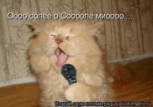 Оооо солее о Сооооле миоооо........ Котоматрица: Оооо солее о Сооооле миоооо.....