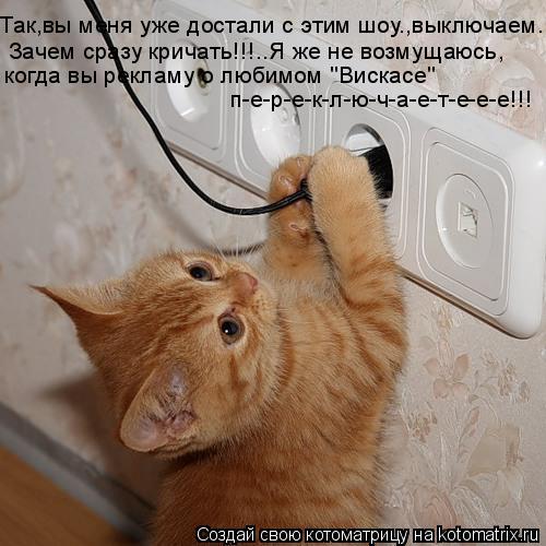 Так,вы меня уже достали с этим шоу.,выключаем... Зачем сразу кричать!!!..Я же не возмущаюсь, когда вы... Котоматрица: Так,вы меня уже достали с этим шоу.,выключаем... Зачем сразу кричать!!!..Я же не возмущаюсь, когда вы рекламу о любимом "Вискасе" п-е-р-е-к-л-ю-ч-а-