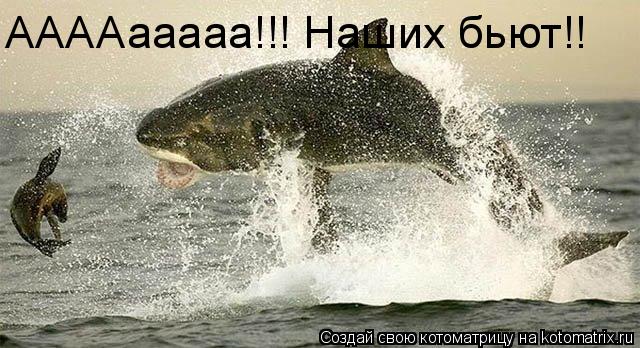 Котоматрица: ААААааааа!!! Наших бьют!!