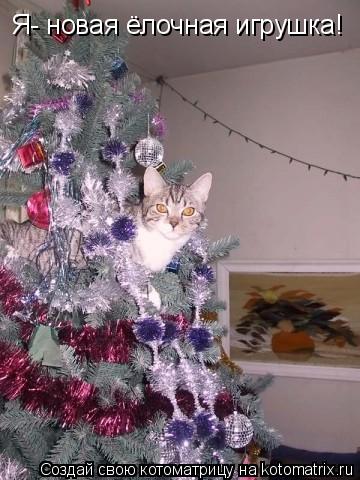 Котоматрица: Я- новая ёлочная игрушка!