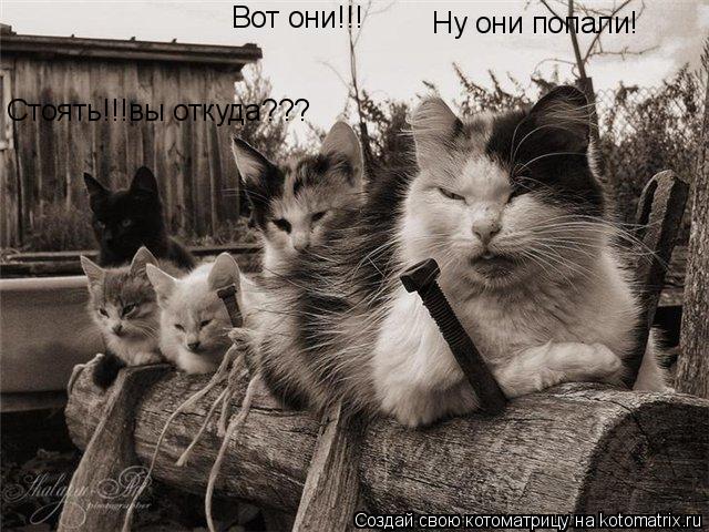 Котоматрица: Вот они!!! Ну они попали! Стоять!!!вы откуда???