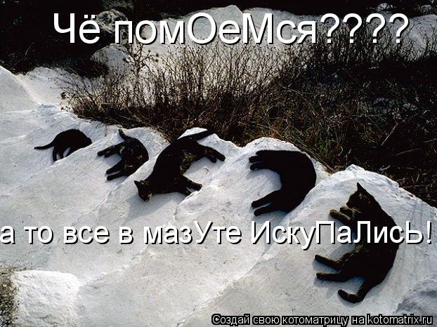 Котоматрица: Чё помОеМся???? а то все в мазУте ИскуПаЛисЬ!