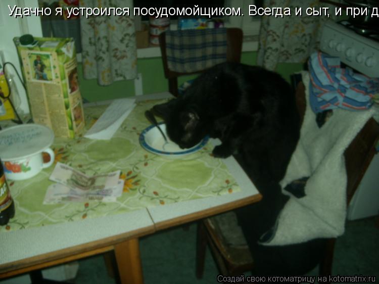 Котоматрица: Удачно я устроился посудомойщиком. Всегда и сыт, и при деньгах.
