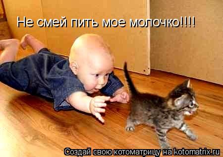 Не смей пить мое молочко!!!!... Котоматрица: Не смей пить мое молочко!!!!