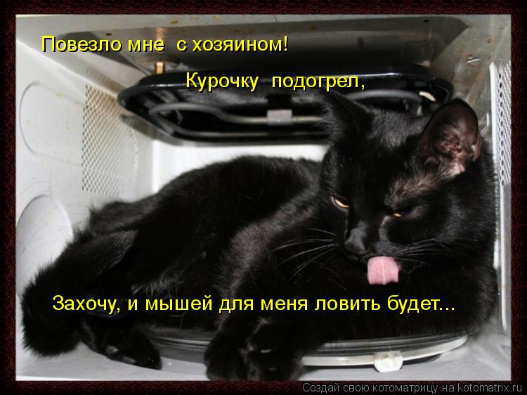 Котоматрица: Повезло мне  с хозяином! Захочу, и мышей для меня ловить будет... Курочку  подогрел,