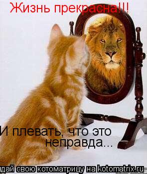 Котоматрица: Жизнь прекрасна!!! И плевать, что это  неправда...