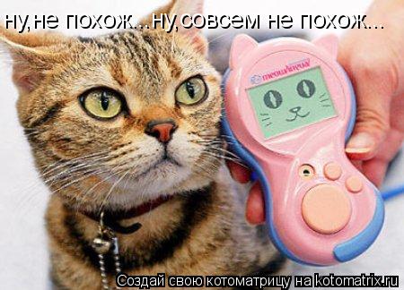 ну,не похож...ну,совсем не похож...... Котоматрица: ну,не похож...ну,совсем не похож...