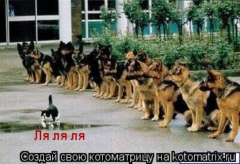 Котоматрица: Ля ля ля