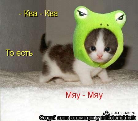 - Ква - Ква То есть Мяу - Мяу... Котоматрица: - Ква - Ква То есть Мяу - Мяу