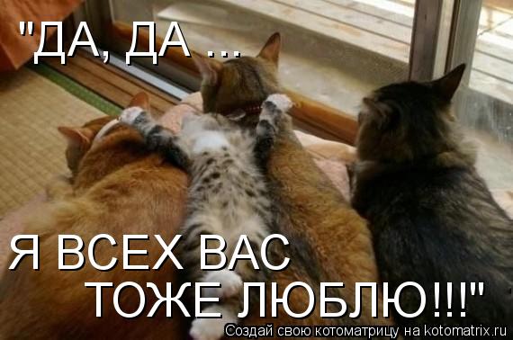 Котоматрица: "ДА, ДА ... Я ВСЕХ ВАС  ТОЖЕ ЛЮБЛЮ!!!"