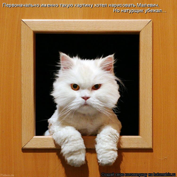 Первоначально именно такую картину хотел нарисовать Малевич. Но натурщик убежал...... Котоматрица: Первоначально именно такую картину хотел нарисовать Малевич. Но натурщик убежал...