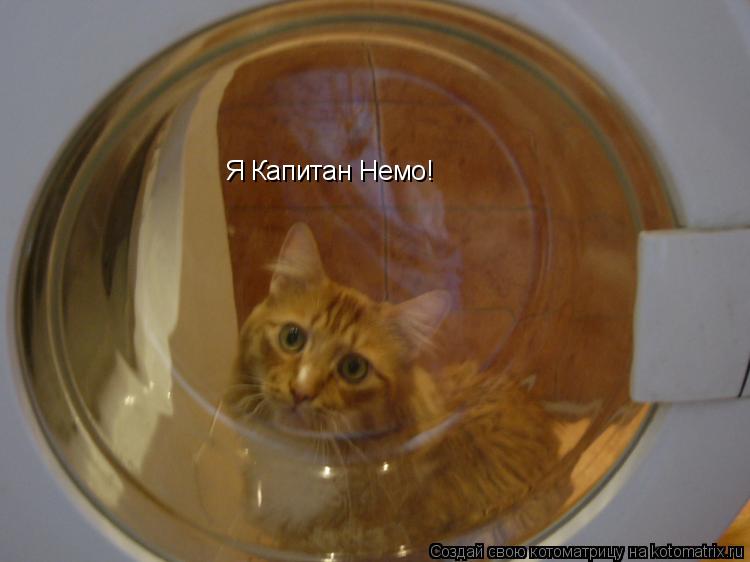 Я Капитан Немо!... Котоматрица: Я Капитан Немо!
