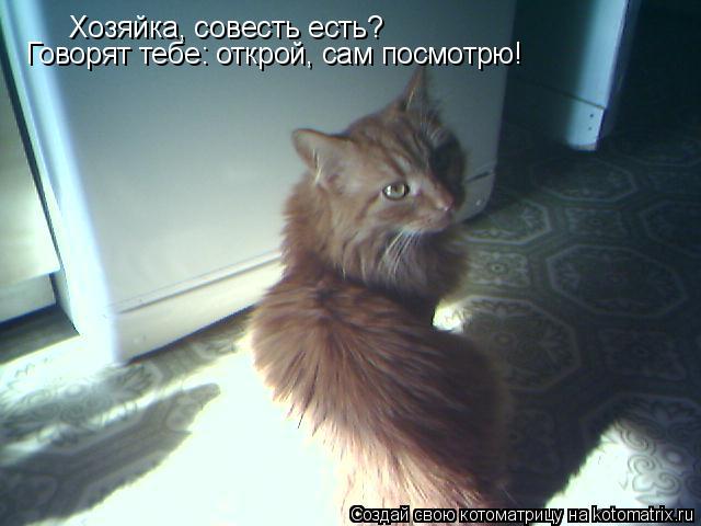 Котоматрица: Хозяйка, совесть есть? Говорят тебе: открой, сам посмотрю!