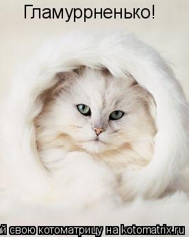 Гламуррненько!... Котоматрица: Гламуррненько!