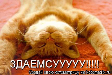 Котоматрица: ЗДАЕМСУУУУУ!!!!!