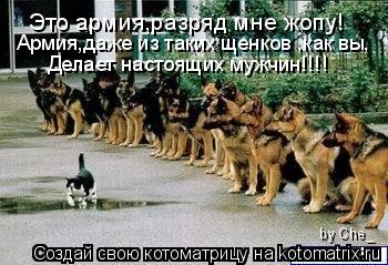 Котоматрица: Это армия,разряд мне жопу! Армия,даже из таких щенков ,как вы, Делает настоящих мужчин!!!! by Che_