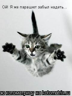 Котоматрица: Ой! Я же парашют забыл надеть...