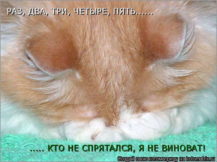 РАЗ, ДВА, ТРИ, ЧЕТЫРЕ, ПЯТЬ...... ..... КТО НЕ СПРЯТАЛСЯ, Я НЕ ВИНОВАТ!... Котоматрица: РАЗ, ДВА, ТРИ, ЧЕТЫРЕ, ПЯТЬ...... ..... КТО НЕ СПРЯТАЛСЯ, Я НЕ ВИНОВАТ!