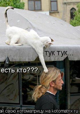 тук тук... есть кто???... Котоматрица: тук тук... есть кто???