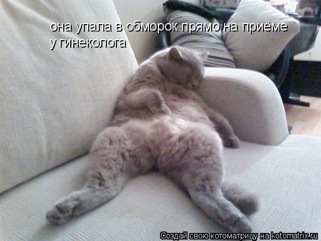 она упала в обморок прямо на приёме у гинеколога... Котоматрица: она упала в обморок прямо на приёме у гинеколога