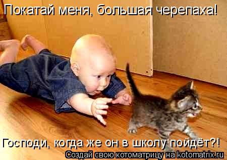 Покатай меня, большая черепаха! Господи, когда же он в школу пойдёт?!... Котоматрица: Покатай меня, большая черепаха! Господи, когда же он в школу пойдёт?!