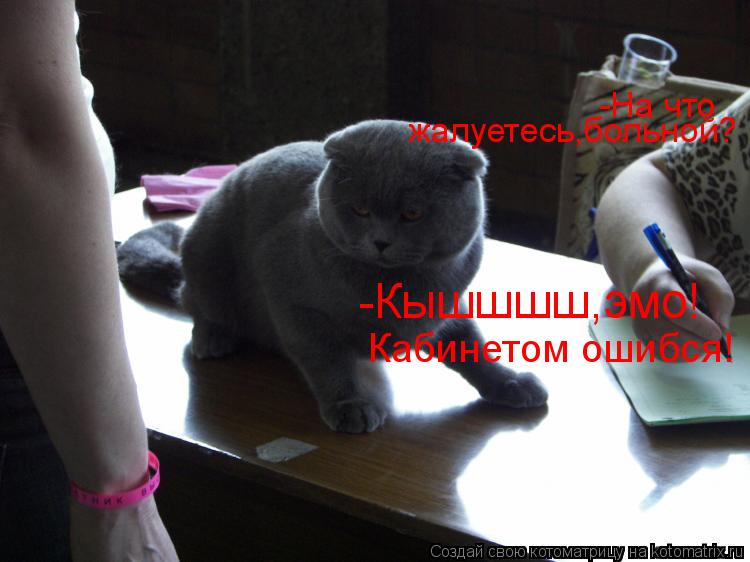 -На что жалуетесь,больной? -Кышшшш,эмо! Кабинетом ошибся!... Котоматрица: -На что жалуетесь,больной? -Кышшшш,эмо! Кабинетом ошибся!