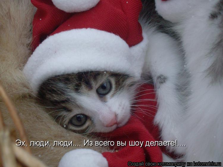 Котоматрица: Эх, люди, люди.... Из всего вы шоу делаете!....
