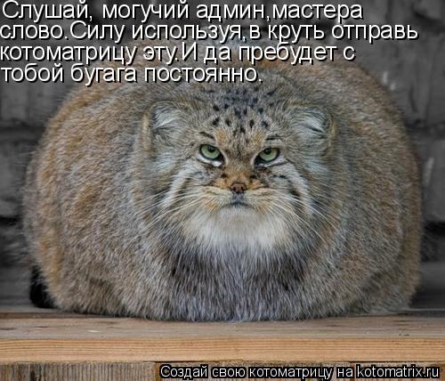 Слушай, могучий админ,мастера слово.Силу используя,в круть отправь котоматрицу эту.И да пребудет с то... Котоматрица: Слушай, могучий админ,мастера слово.Силу используя,в круть отправь котоматрицу эту.И да пребудет с тобой бугага постоянно.