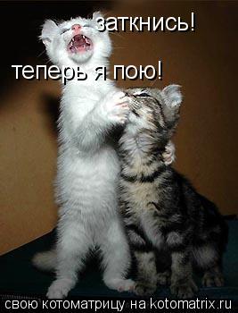 заткнись! теперь я пою!... Котоматрица: заткнись! теперь я пою!
