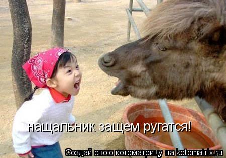 Котоматрица: нащальник защем ругатся!