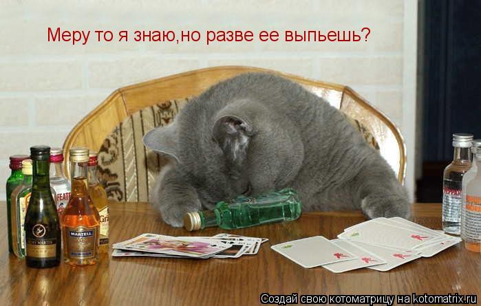Меру то я знаю,но разве ее выпьешь?... Котоматрица: Меру то я знаю,но разве ее выпьешь?