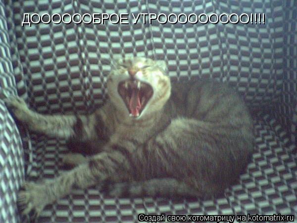 Котоматрица: ДООООООБРОЕ УТРООООООООО!!!!