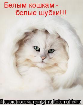 Котоматрица: Белым кошкам -  белые шубки!!!