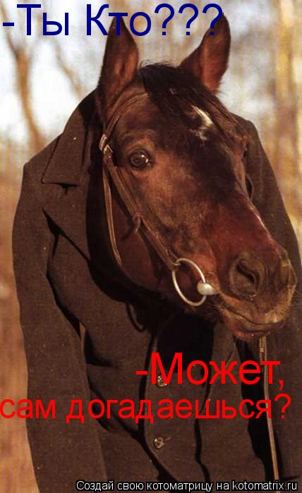 -Может, сам догадаешься? -Ты Кто???... Котоматрица: -Может, сам догадаешься? -Ты Кто???