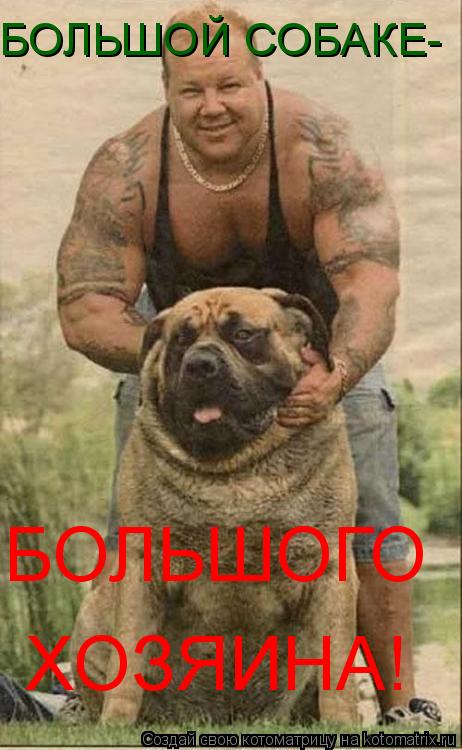 БОЛЬШОЙ СОБАКЕ- БОЛЬШОГО ХОЗЯИНА!... Котоматрица: БОЛЬШОЙ СОБАКЕ- БОЛЬШОГО ХОЗЯИНА!