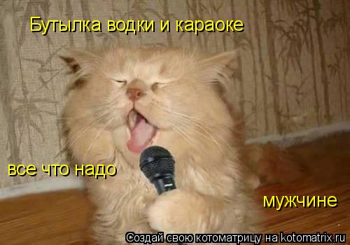 Котоматрица: Бутылка водки и караоке все что надо мужчине
