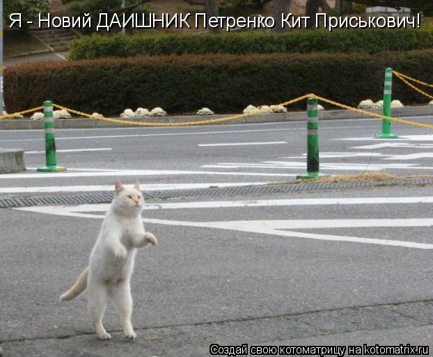 Котоматрица: Я - Новий ДАИШНИК Петренко Кит Приськович!
