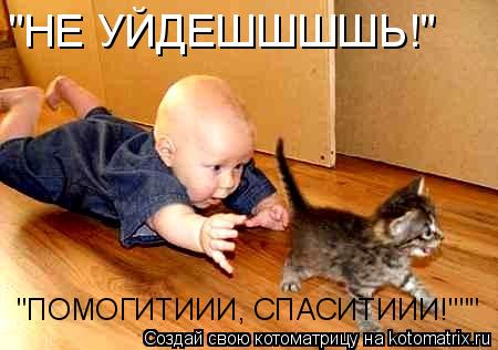 Котоматрица: "НЕ УЙДЕШШШШЬ!" "ПОМОГИТИИИ, СПАСИТИИИ!"""
