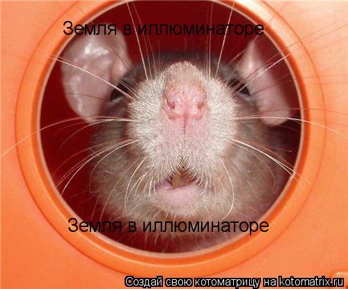 Котоматрица: Земля в иллюминаторе Земля в иллюминаторе