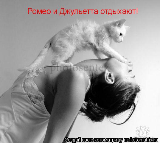 Ромео и Джульетта отдыхают!... Котоматрица: Ромео и Джульетта отдыхают!