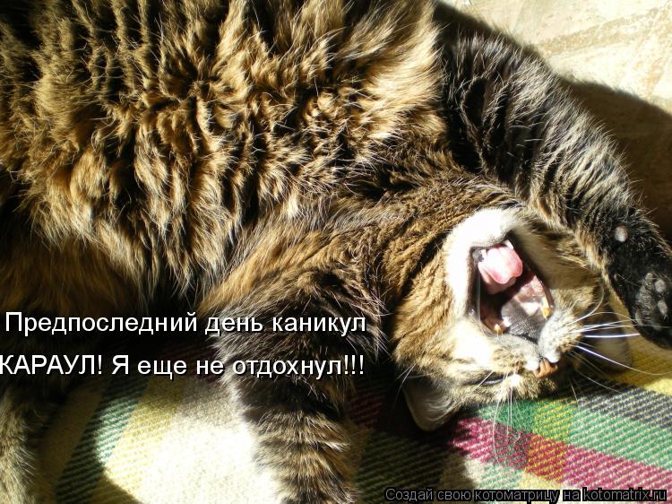 Котоматрица: Предпоследний день каникул КАРАУЛ! Я еще не отдохнул!!!