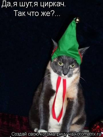 Котоматрица: Да,я шут,я - циркач Да,я шут,я - циркач Да,я шут,я циркач. Так что же?...