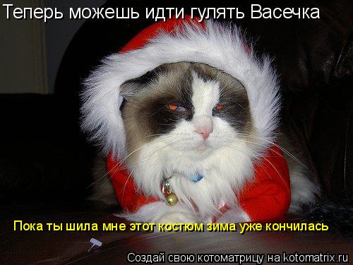 Котоматрица: Теперь можешь идти гулять Васечка Пока ты шила мне этот костюм зима уже кончилась